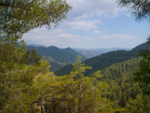 Троодос вид со смотровой площадки